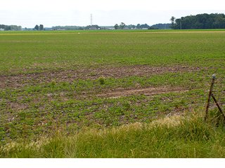 Property photo 137 - LAND AUCTION - 700+/- ACRES OFFERED IN 16 TRACTS IN ALLEN COUNTY, INDIANA